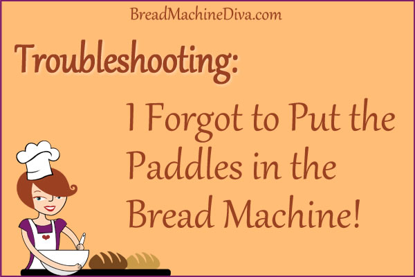 I Forgot to Put the Paddles in the Bread Machine!