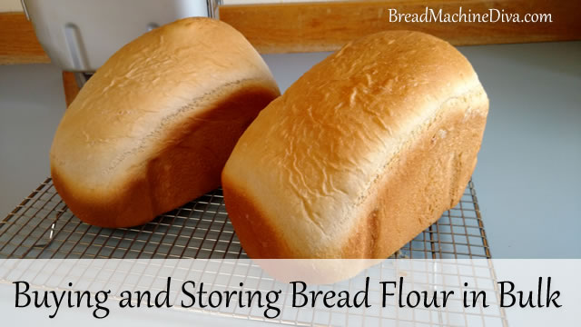 Buying and Storing Flour in Bulk