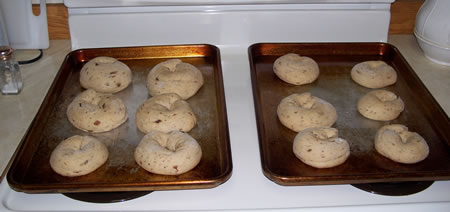 Cinnamon Raisin Bagels on pan