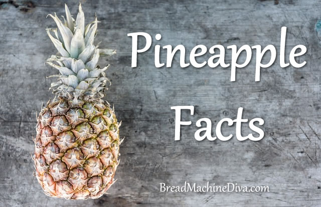 Pineapple Facts