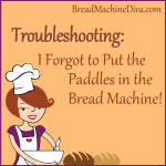 I forgot to put in the bread machine paddles