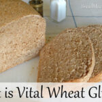 What is vital wheat gluten