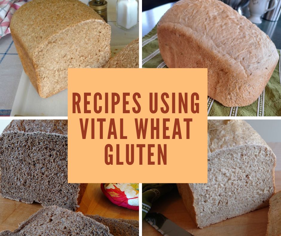 What is Vital Wheat Gluten? 1 What is vital wheat gluten?