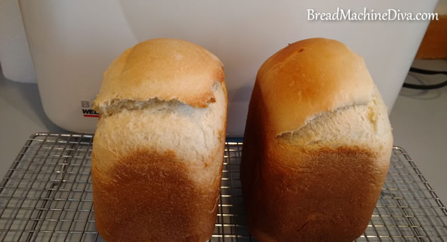 Sandwich Bread Recipe One Pound Loaf Bread Machine Recipes