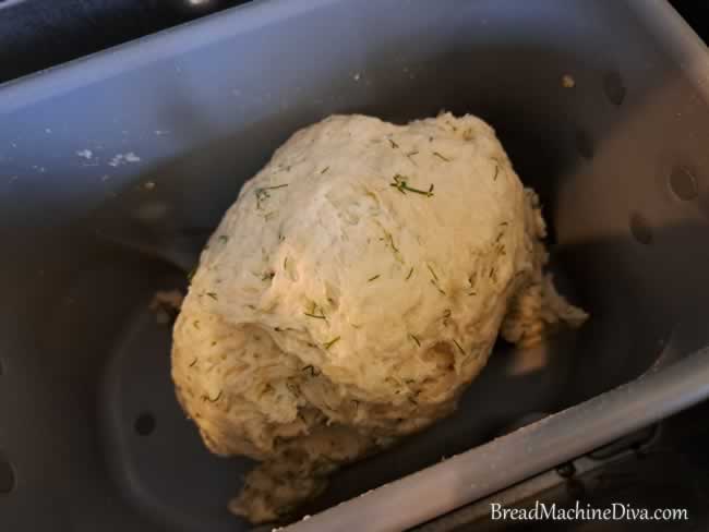 Ball of cottage cheese dill bread dough