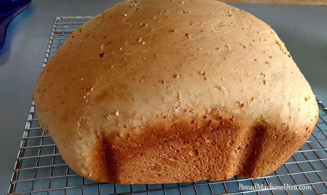 rustic-looking loaf of bread