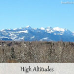 High Altitudes and Your Bread Machine